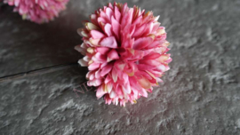 Pom pom tak kunst | donkerroze