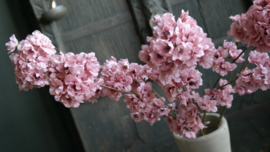 Prunus kunst bloem | roze