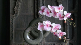 Orchidee kunst tak roze l 106 cm