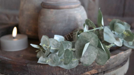 Eucalyptus zijden tak dried | 28 cm