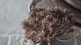 Berenklauw tak namaak 60 cm | bruin glitter