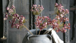 Zwanenbloem lila | namaak