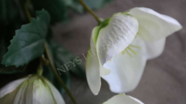 Helleborus kunst bloem | 45 cm