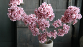 Prunus kunst bloem | roze