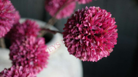 Pom pom tak kunst | paars