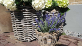 Lavendel namaak | UV bestendig