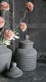 Pot Mangole | long island