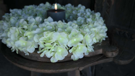 Hortensia krans zijden | groen