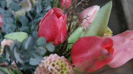 Boeket kant en klaar tulpen | mix colours