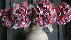 Hortensia zijden bloem | dried bordeaux