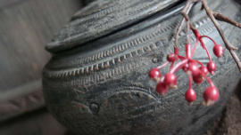 Berti pot | M