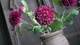 Dahlia bloem zijden | aubergine