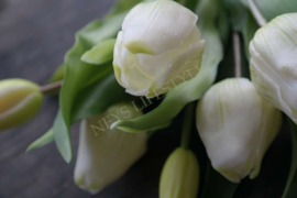 Bosje tulpen kunst 31 cm | créme
