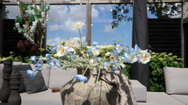 Cosmea bloem zijden | blauw