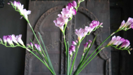 Freesia bloem namaak | roze 83 cm