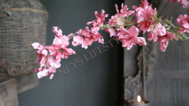 Delphinium zijden bloem | roze