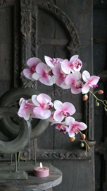 Orchidee kunst tak roze l 124 cm