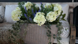 Plantenmand aardewerk rotan | ovaal