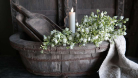 Gipskruid bosje groen - wit | 20 cm