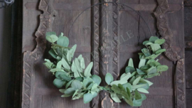 Ring Eucalyptus kunst   | 40 cm