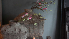 Magnolia kunst tak groen | S