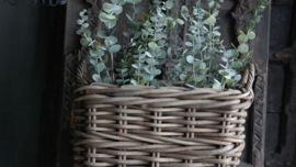 Plantenmand rotan thick