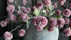 Dahlia bloem kunst | oud roze
