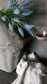 Vissers/leem mand grey | M