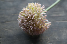 Allium bloem kunst 44 cm | roze