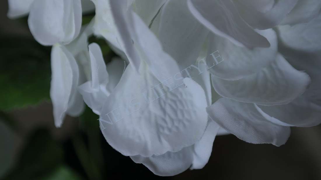 Hortensia plant zijden | wit