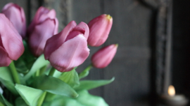 Bosje tulpen kunst 28 cm | paars