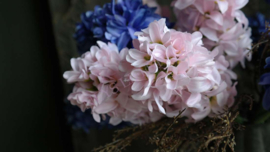 Bosje hyacinthen kunst | roze