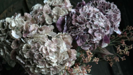 Hortensia zijden bloem | Kira old purple