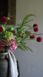 Japonica kunst bloem 105 cm | groen-créme