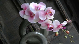 Orchidee kunst tak roze l 124 cm