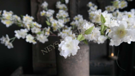 Bloesem namaak tak | créme