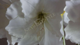Amaryllis namaak bloem | wit