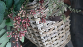 Plantenmand rotan hengsel  | S