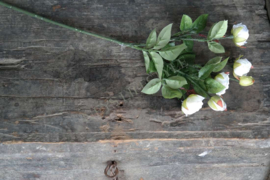 Tros rozen kunst créme | 36 cm