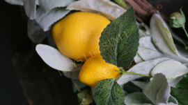 Krans citroenen namaak |  50 cm