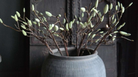 Magnolia kunst tak groen | M