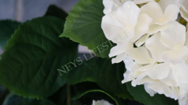 Hortensia plant namaak UV bestendig| wit