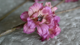 Prunus kunst bloem | paars