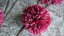 Pom pom tak kunst | paars