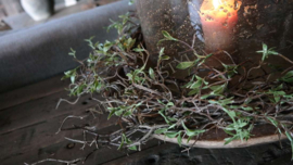 Krans leaves namaak | 30-35 cm