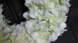 Hortensia krans zijden | groen