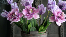 Tulp peony roze l 1 boem 67 cm