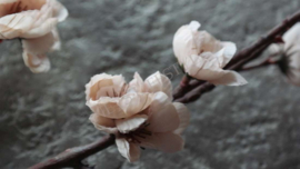 Bloesem namaak tak | beige