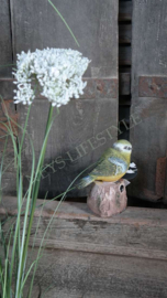 Vogel met sensor/geluid | op stam