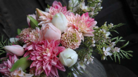 Boeket kant en klaar | Dahlia XL bloem